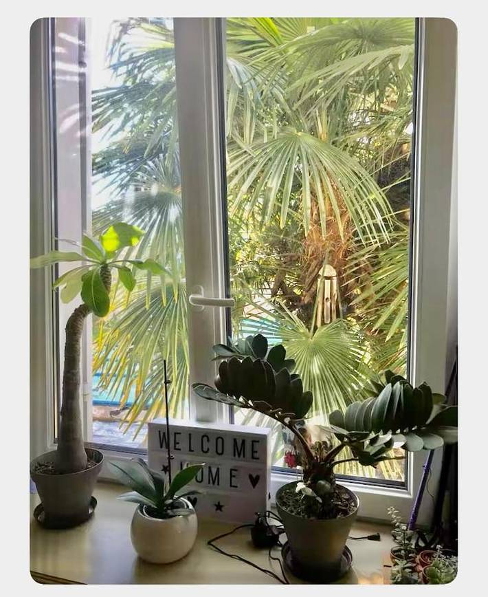 Appartement de vacances pour 4 personnes, avec Terrasse ainsi que Jardin et Piscine