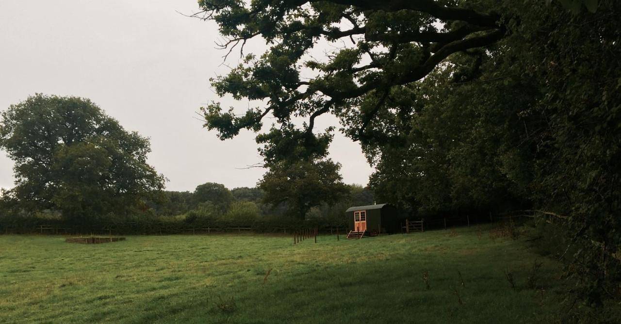 Bungalow with Private External Bathroom in Trudoxhill, Somerset