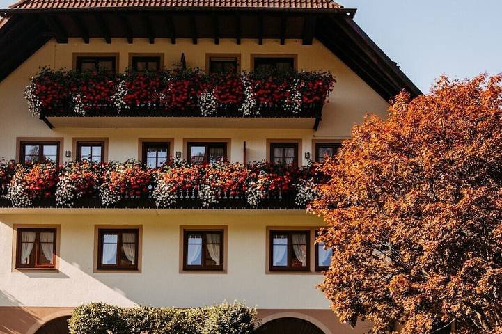 Ganze Wohnung, Ein-Raum-Apartment mit Balkon in Simonswald, Südschwarzwald