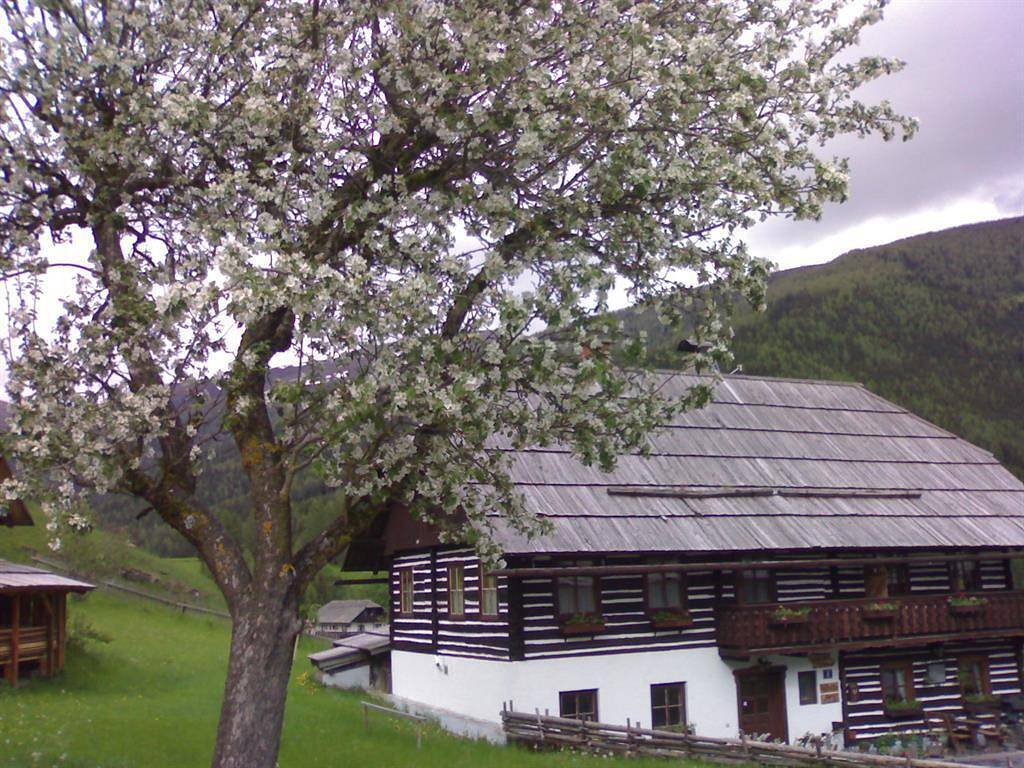 Ferienhaus in Sankt Oswald (Bad Kleinkirchheim), Bad Kleinkirchheim
