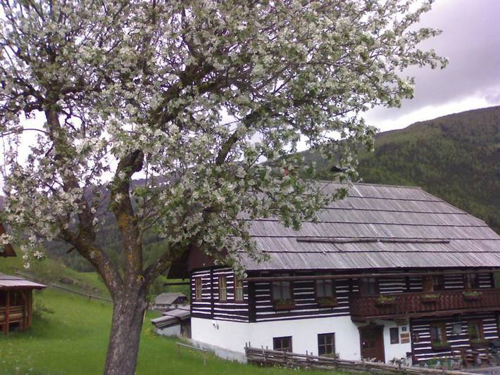 Doppel- oder Dreibettzimmer in Sankt Oswald (Bad Kleinkirchheim), Bad Kleinkirchheim