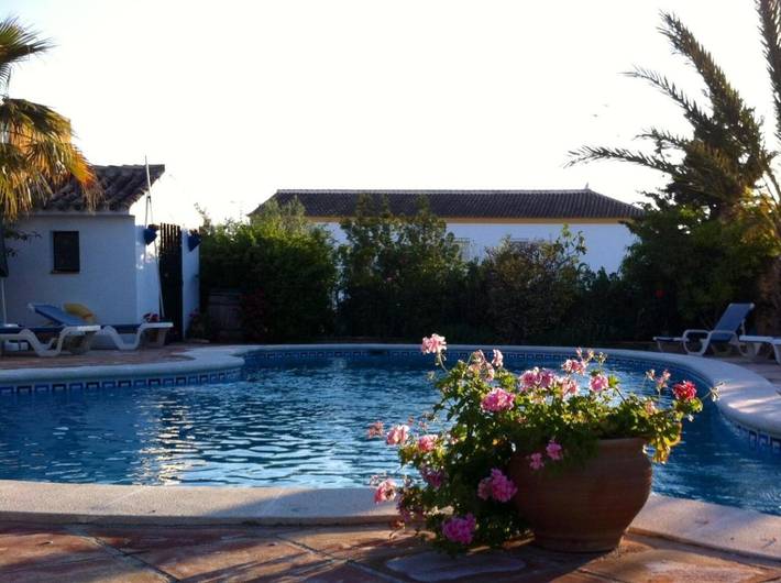 Hôtel pour 2 personnes, avec jardin et piscine, animaux acceptés à Osuna - 4