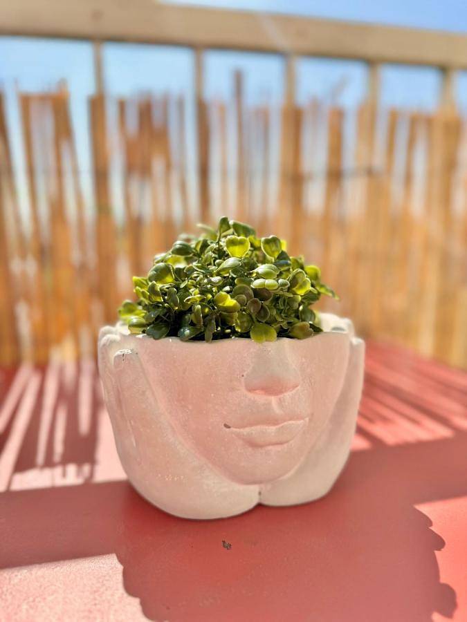 Gîte pour 2 personnes, avec vue et balcon à Saint-Jacques-de-la-Lande - 2