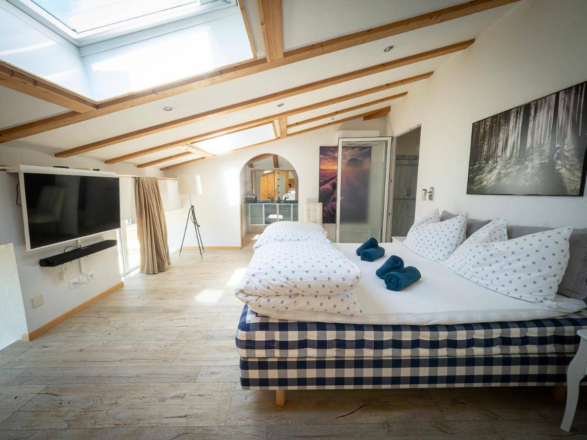 280m2 Luxus Loft Atrium-X 60m2 Terrasse in Rorbas-Freienstein, Rorbas