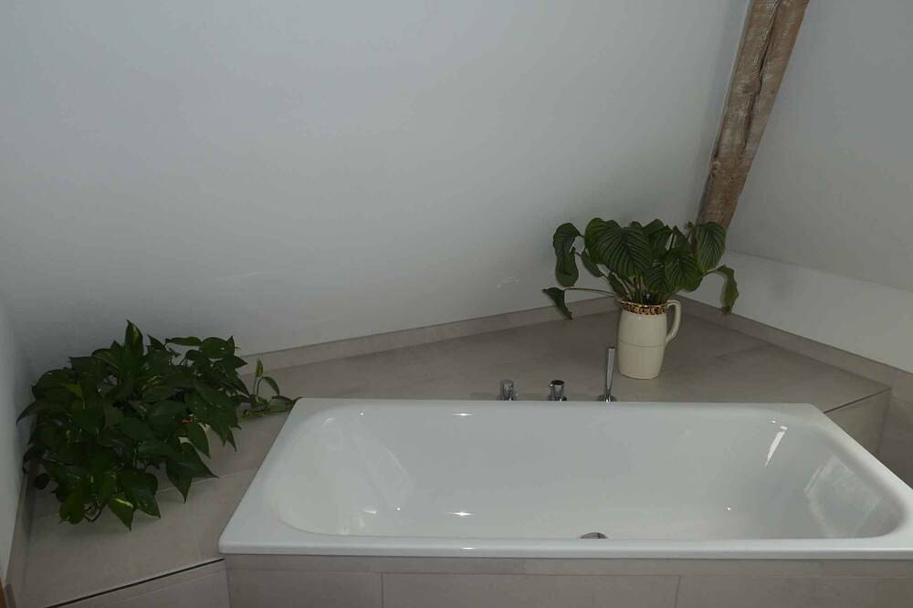 Ganze Wohnung, Ferienwohnung Vier Sterne mitten im Biosphärenreservat Pfälzerwald/Nordvogesen in Fischbach bei Dahn, Landkreis Südwestpfalz