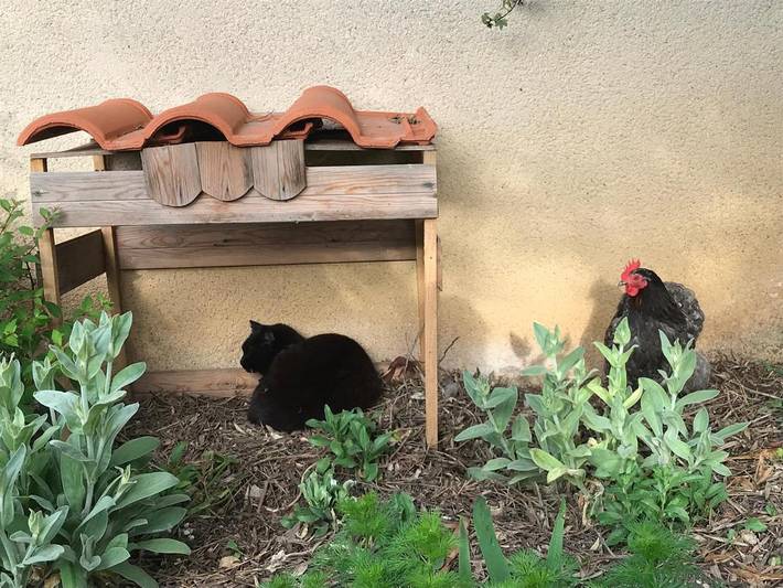 Chambre d’hôte pour 2 personnes, avec jardin à La Rochelle - 3