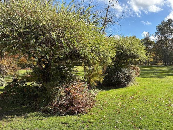 Location de vacances pour 3 personnes, avec jardin à Pierrefitte-sur-Sauldre - 3