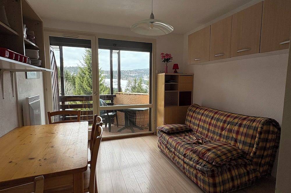 Entire apartment, Hirmentaz bellevaux accommodation, at the foot of the slopes! in Bellevaux, Thonon-les-Bains region