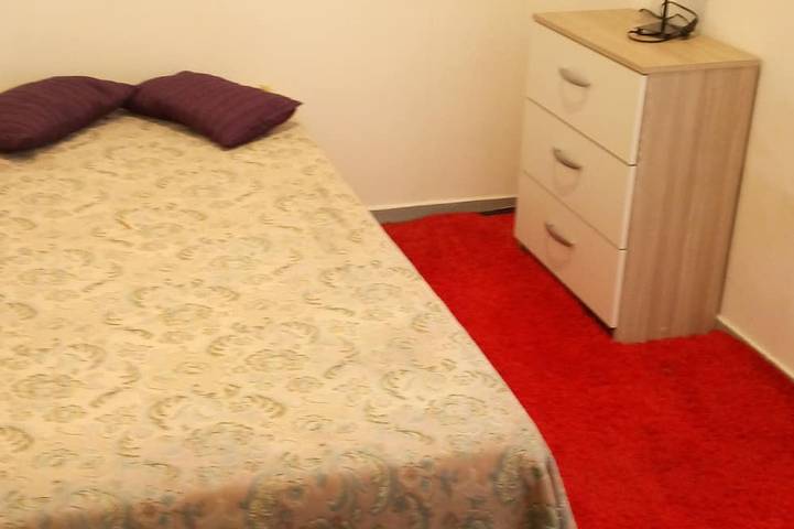 Gîte pour 3 personnes, avec terrasse et jardin à Maisons-Alfort - 3