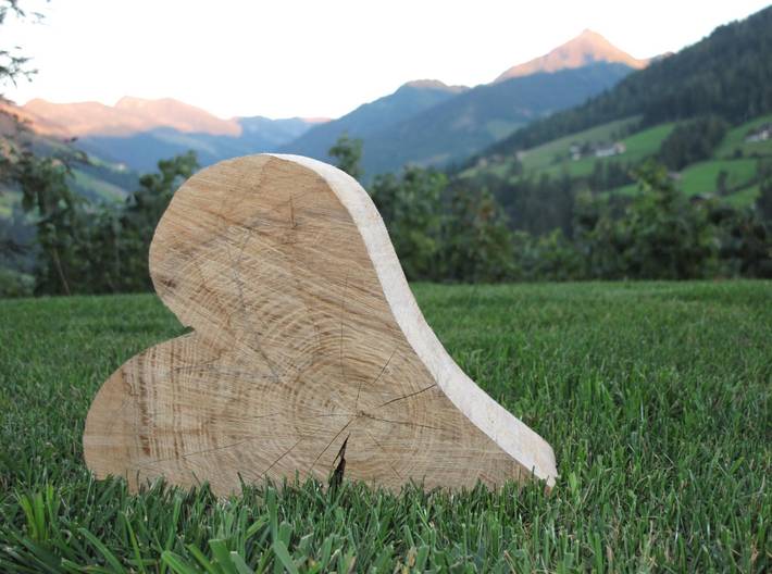 Gîte pour 4 personnes, avec terrasse et jardin à Alpbach - 3