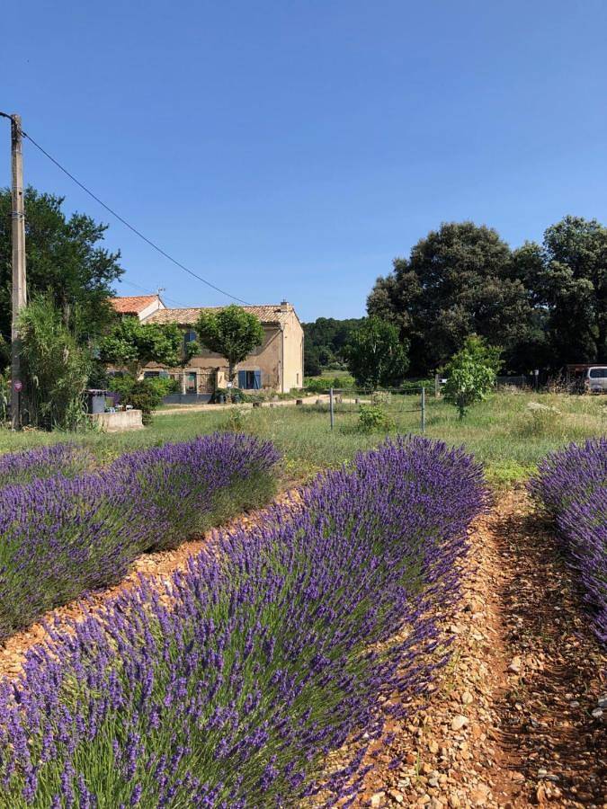 Mas de costebelle in Bollène, Vaucluse