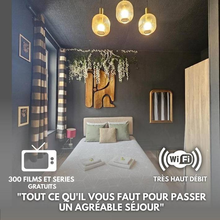 Gîte pour 2 personnes, avec vue, animaux acceptés à Hénin-Beaumont