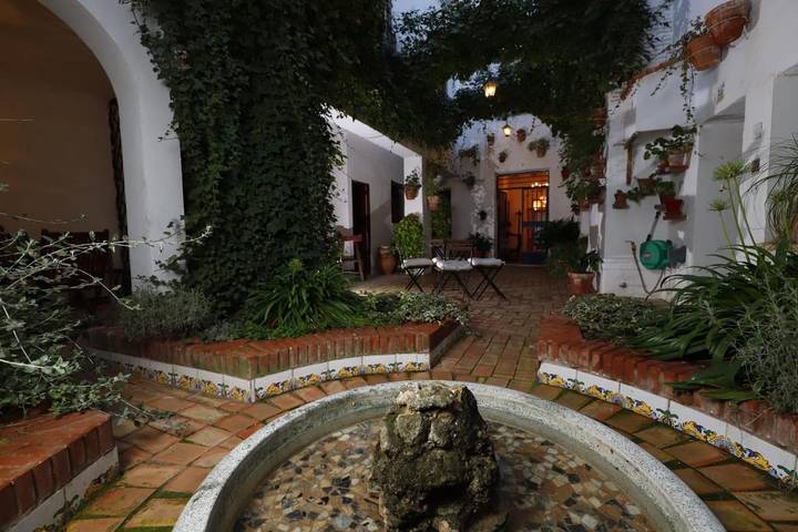 Gîte pour 3 personnes, avec terrasse et jardin, animaux acceptés à Villena - 4