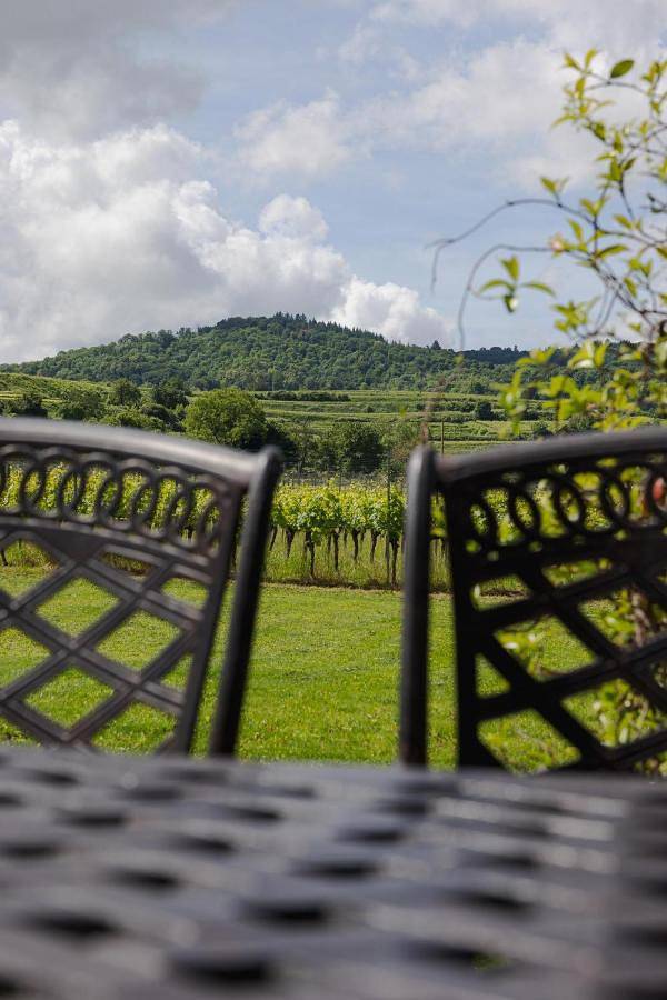 Ferienwohnung für 8 Personen, mit Terrasse und Garten sowie Ausblick in Kaiserstuhl