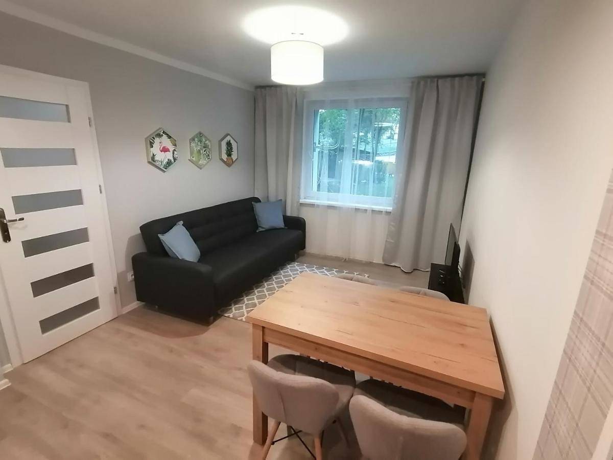 Cały apartament, City Apartments Warszawska in Zgorzelec, Dolny Śląsk