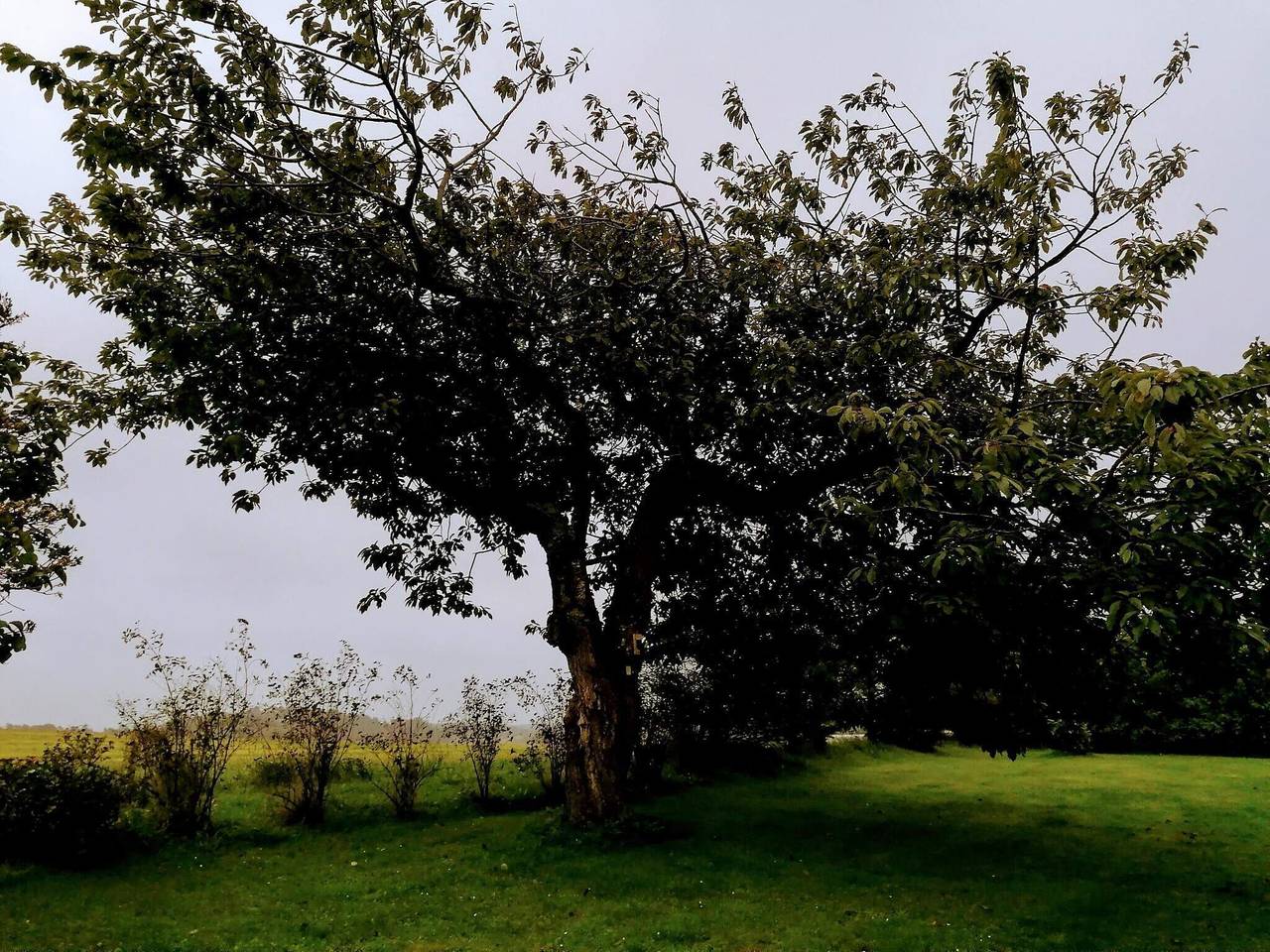Hyggeligt tilflugtssted naer Bork -- By Traum Ferienwohnungen in Løkken, Hjørring Kommune