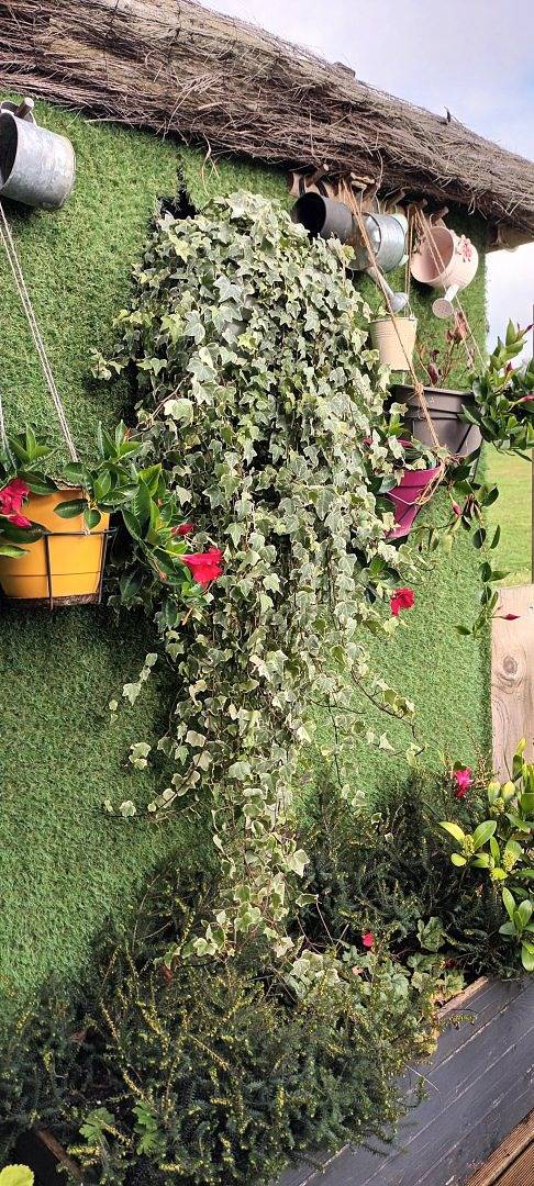 Gîte pour 2 personnes, avec terrasse, animaux acceptés dans l' Eure - 4