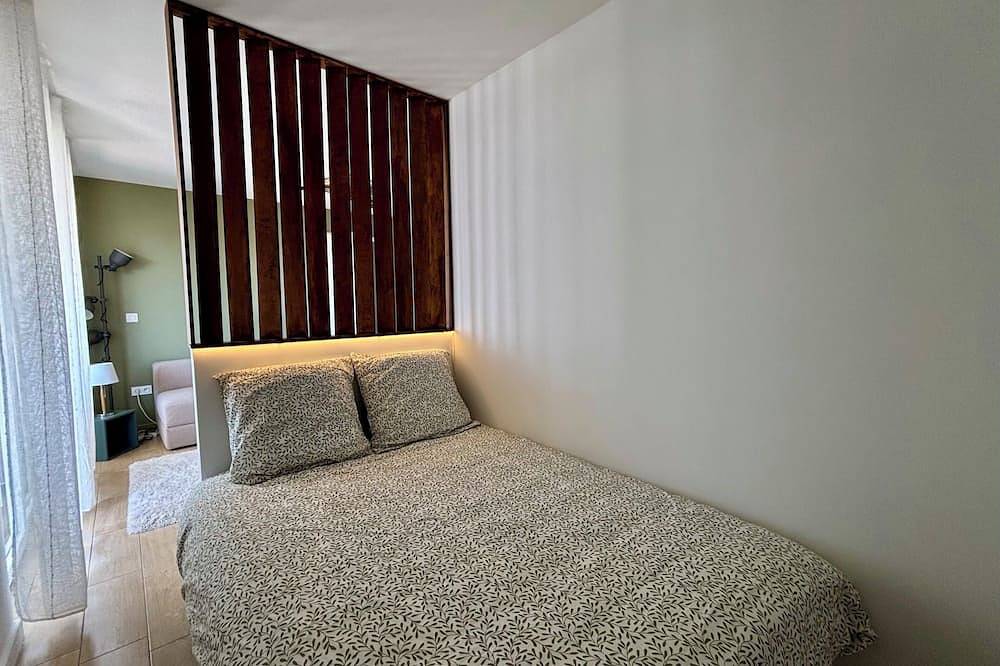 Entire apartment, Schiltigheim: 6th Floor Studio with Terrace in Schiltigheim, Strasbourg region