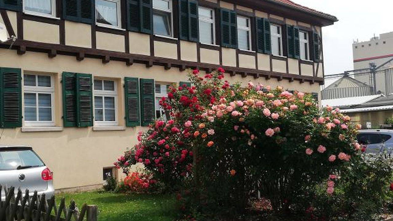 Ganze Ferienwohnung, Ferienwohnung für 5 Personen (54 m²) in Bad Langensalza in Bad Langensalza, Unstrut-Hainich-Kreis