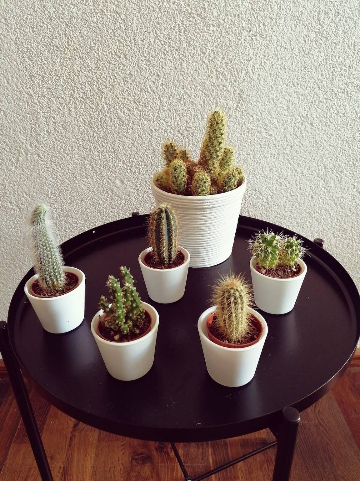 Ganze Ferienwohnung, Ferienwohnung Südschwarzwald in Wehr (Baden-Württemberg), Südschwarzwald