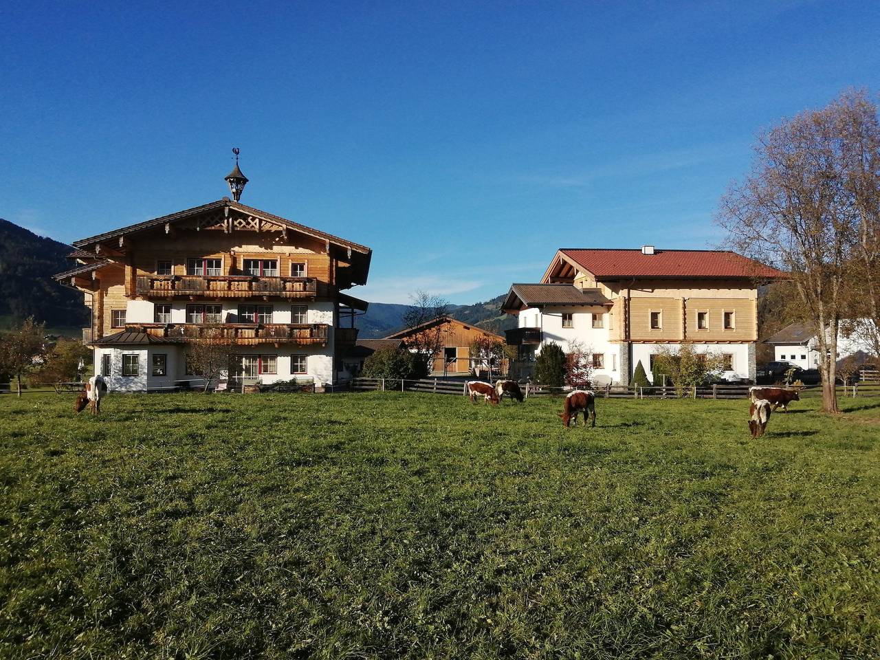 Geheel vakantieappartement, Appartement, bad, Wc, 2 slaapkamers in Flachau, Ski Amadé