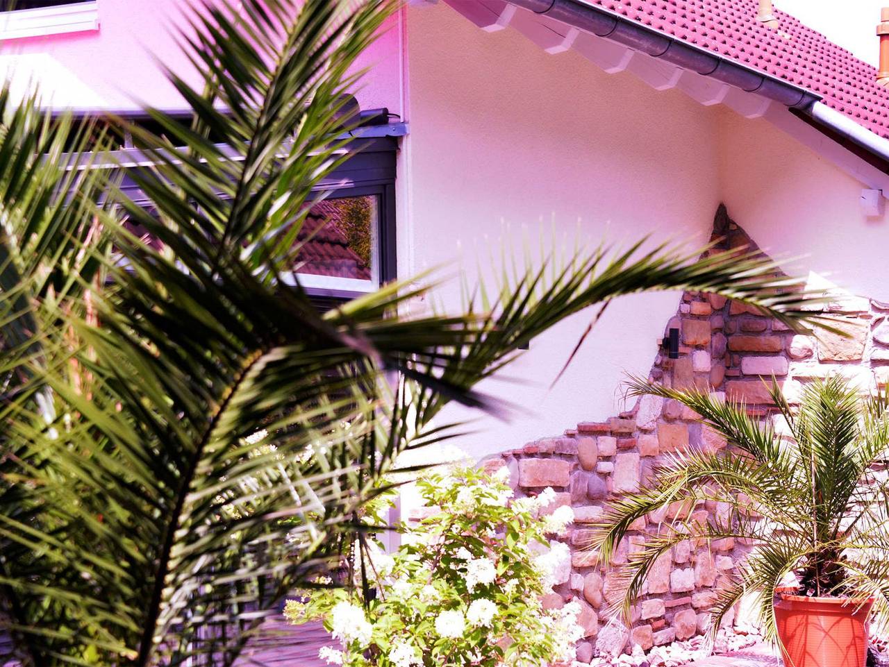 Ganze Ferienwohnung, Ferienhaus Taubergießen - Ferienhaus in Schwanau, Mittlerer Schwarzwald