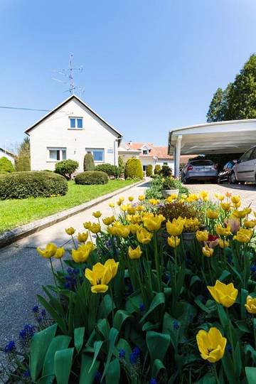 Gîte pour 5 personnes, avec vue ainsi que piscine et jardin, animaux acceptés dans Ormož