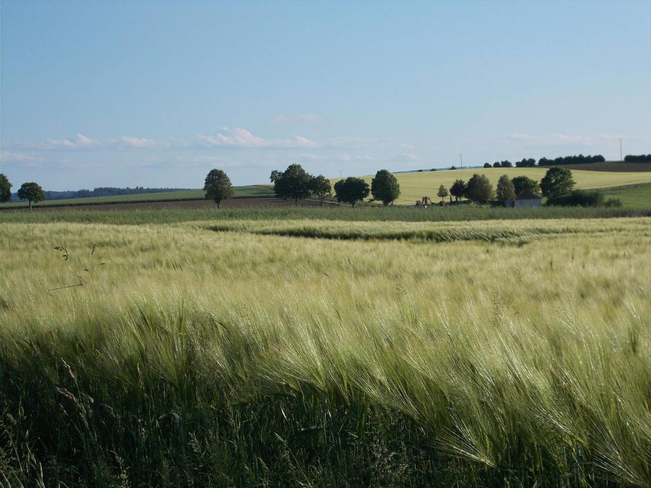 Apartamento entero, Naturaleza y tranquilidad entre suaves montañas y campos verdes: ideal para quienes buscan paz in Uslar, Weser Hills