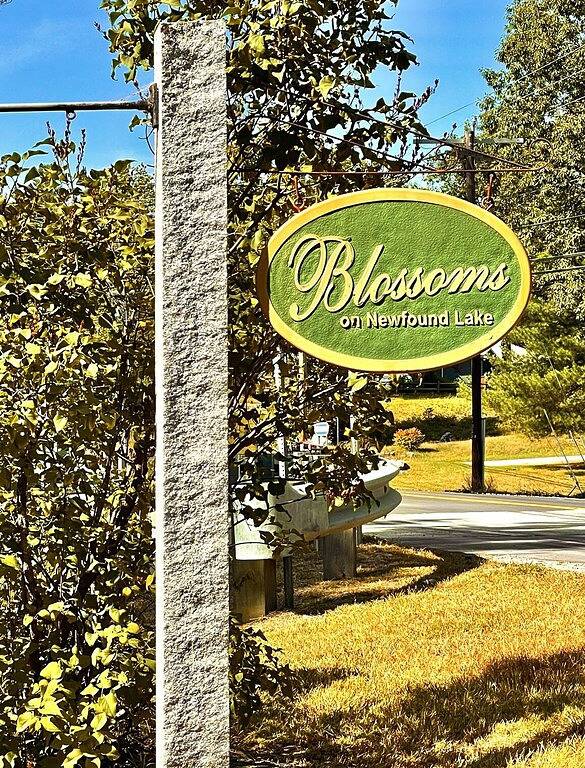 Cozy Studio Cottage with shared private beach on Newfound Lake in Bristol (NH), Newfound Lake