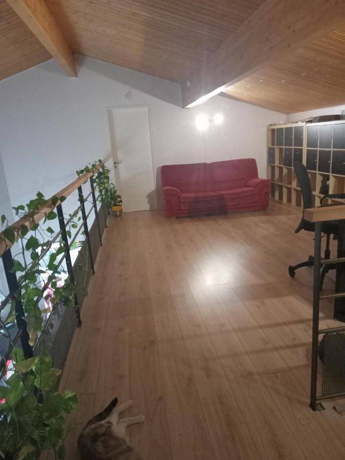 Chambre d’hôte pour 15 personnes, avec piscine et jardin, animaux acceptés dans Haute-Garonne - 2