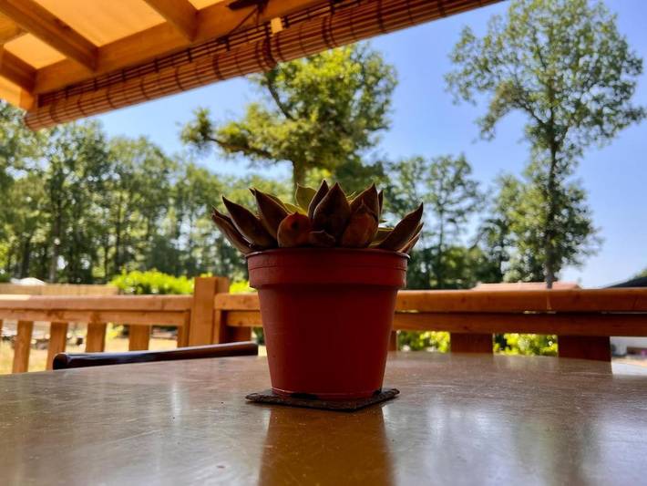 Gîte pour 4 personnes, avec Terrasse ainsi que Jardin et Piscine à Marcilly-sur-Eure