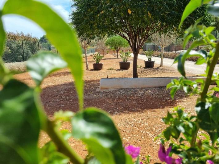 Camping pour 4 personnes dans Province d'Alicante