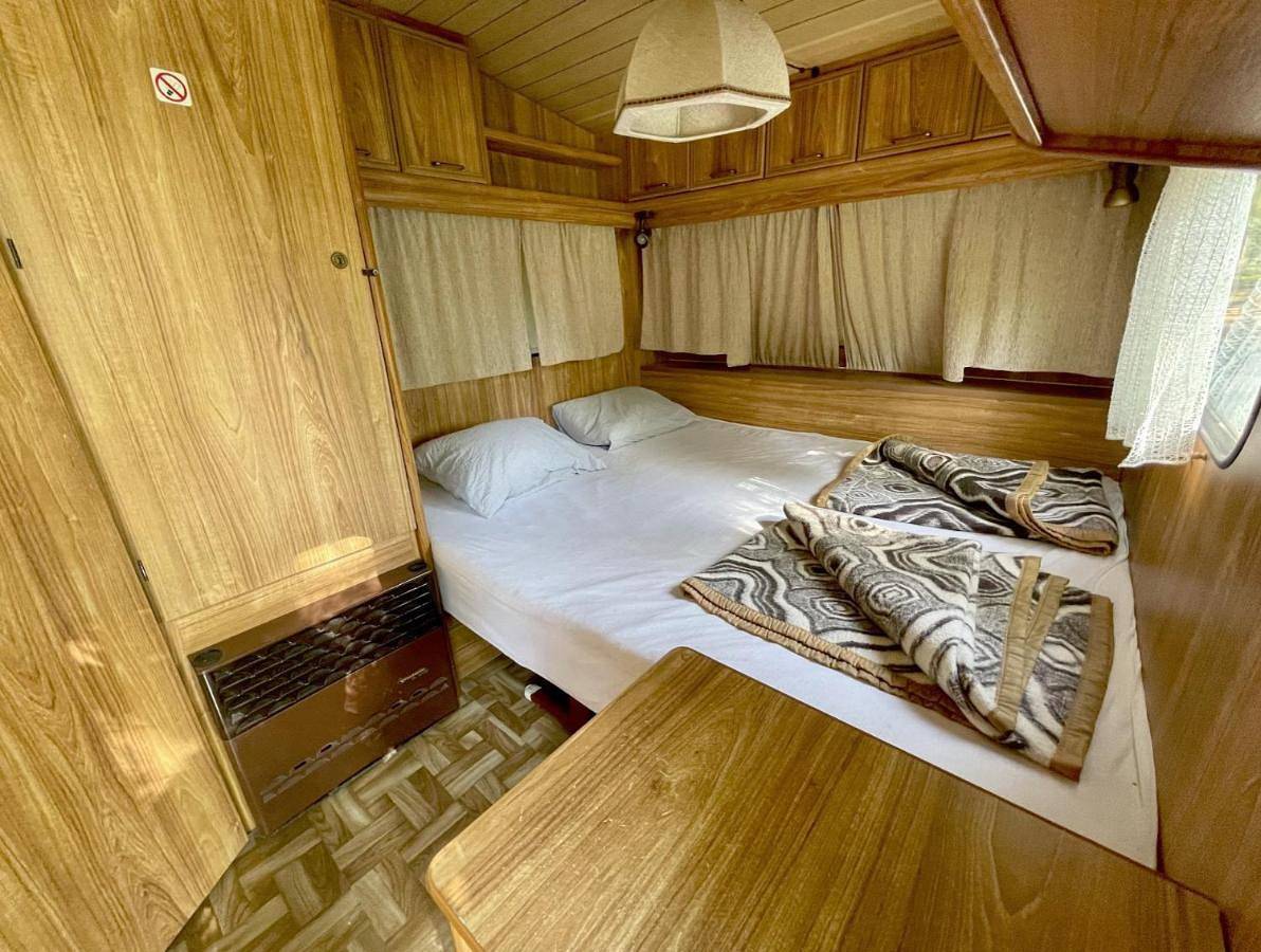 Camping Oaza in Okręg południowobanacki