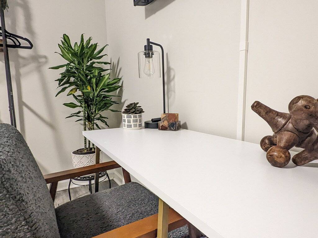 Bearcat Bungalow located in the heart of Downtown in Hendersonville, Henderson County (NC)