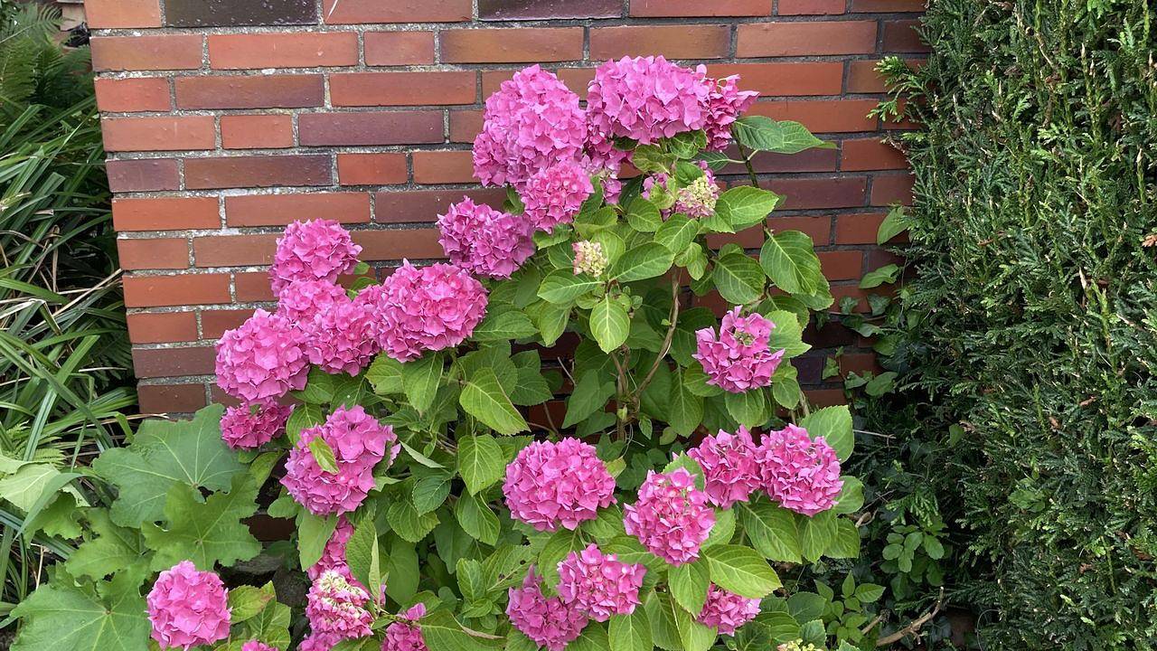 Ganze Ferienwohnung, Ferienwohnung für 2 Personen (40 m²) in Nesse in Nesse, Dornum