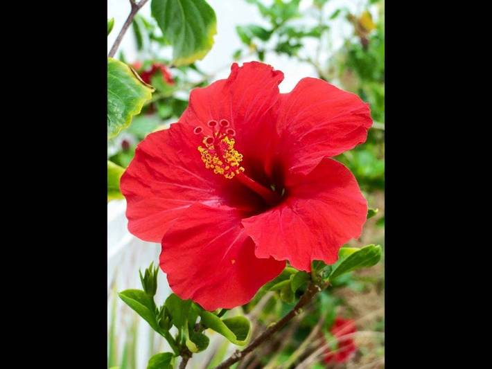 Gîte pour 2 personnes, avec balcon dans Pointe du Bout - 3