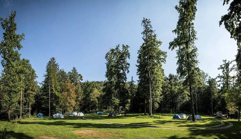 Ganze Wohnung, Holzhütte Waldbett 3 Personen in Untersteiermark