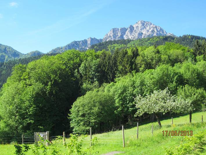 Ganze Ferienwohnung, Hölbinger Alm - Ferienwohnung 7 Staufen, 1 Schlafzimmer, Tv,  4 Sterne, 2 Pers. in Anger, Bayerische Alpen