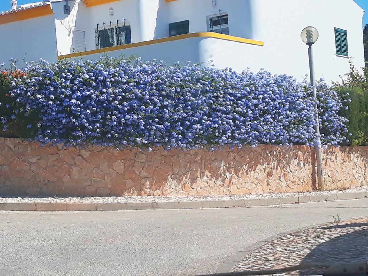 Casa Rosa Floresta (Ml 7H) in Luz (Lagos, Portugal), Distrito de Faro