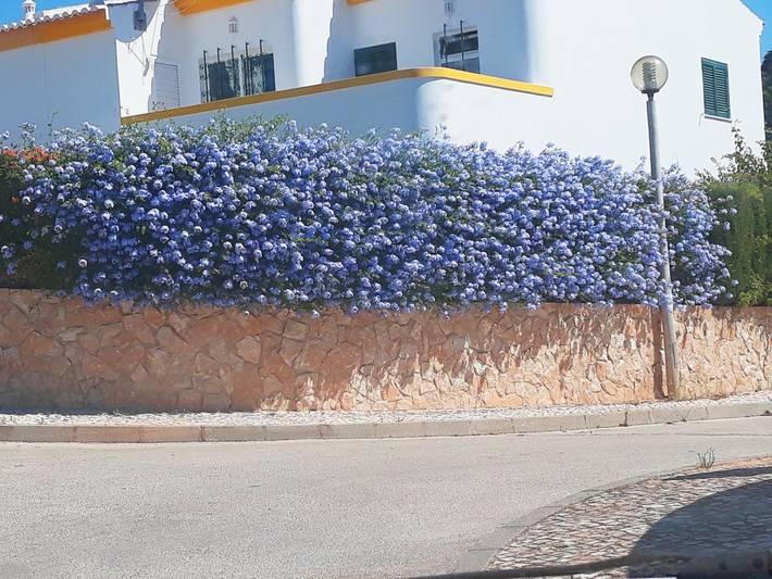 Villa pour 6 personnes, avec jardin et terrasse dans Luz - 3