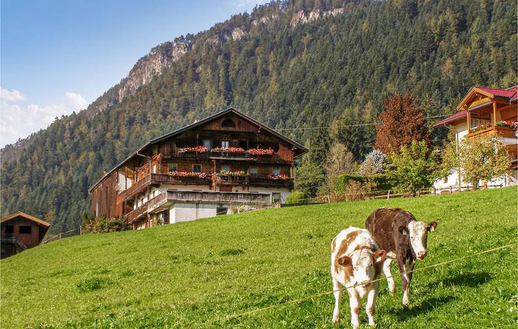Ganze Ferienwohnung, Vermietung mit Bergblick, Babybett und Parkplatz in Bruck am Ziller, Kaisergebirge