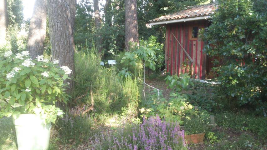 Location de vacances pour 2 personnes, avec jardin à Lège-Cap-Ferret - 4