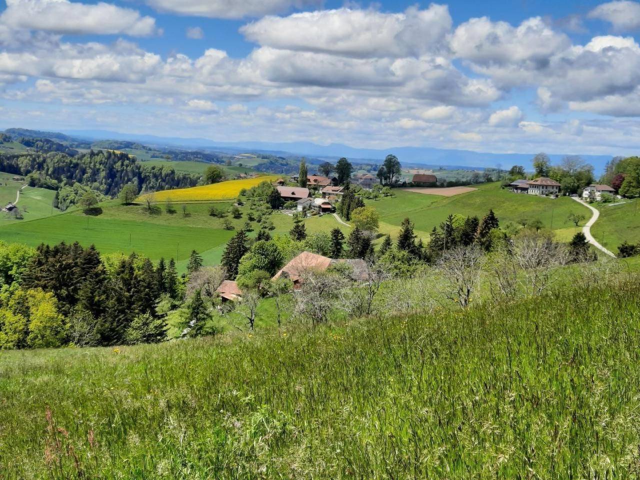 Ganze Wohnung, Im Althaus in Oberbalm, Berner Oberland