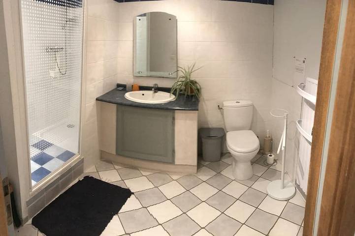 Location de vacances pour 12 personnes, avec jardin à Cussay - 4