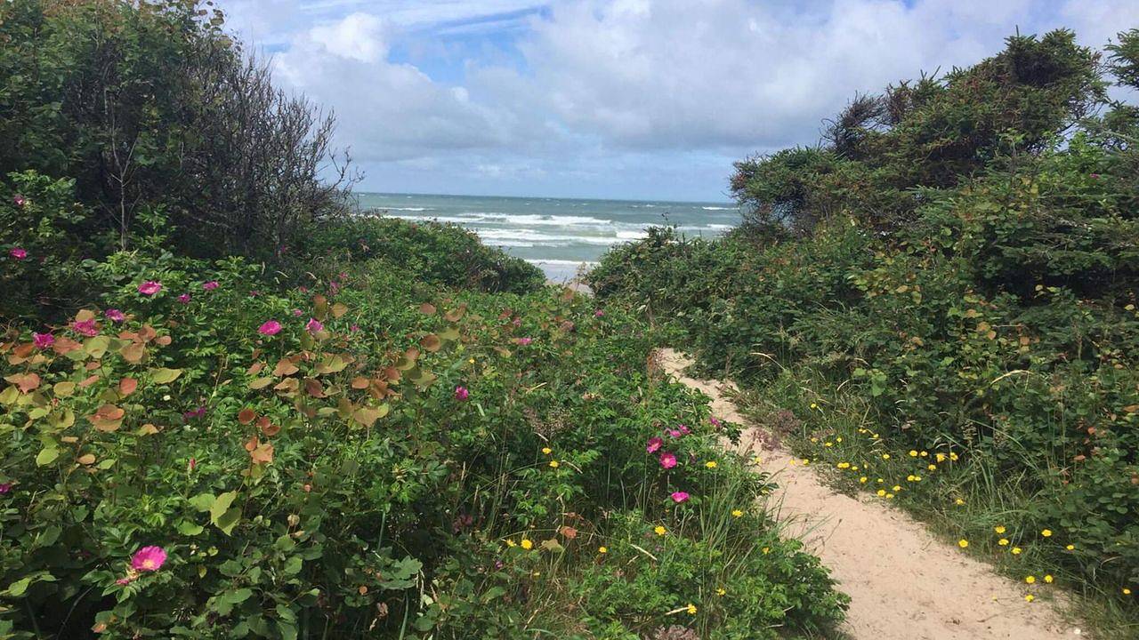 Ferienhaus für 10 Personen (135 m²) in Ålbæk in Skiveren, Tannisbucht