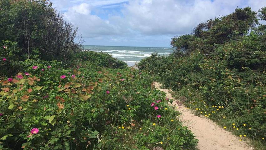Ferienhaus für 11 Personen, mit Pool und Whirlpool sowie Sauna und Terrasse, mit Haustier in Aalbæk - 2