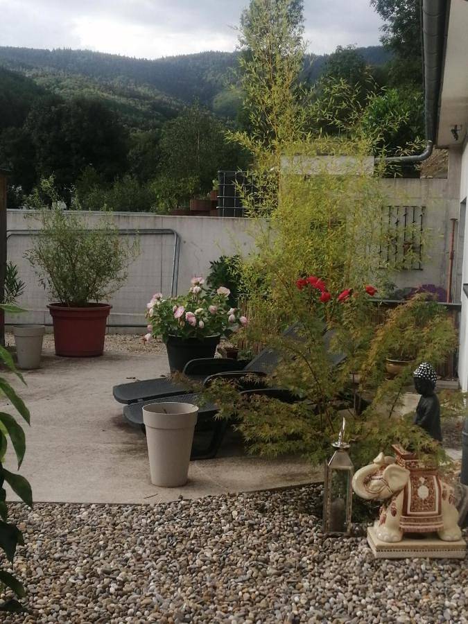Location de vacances pour 2 personnes, avec terrasse ainsi que vue et jardin à Sainte-Marie-aux-Mines - 4