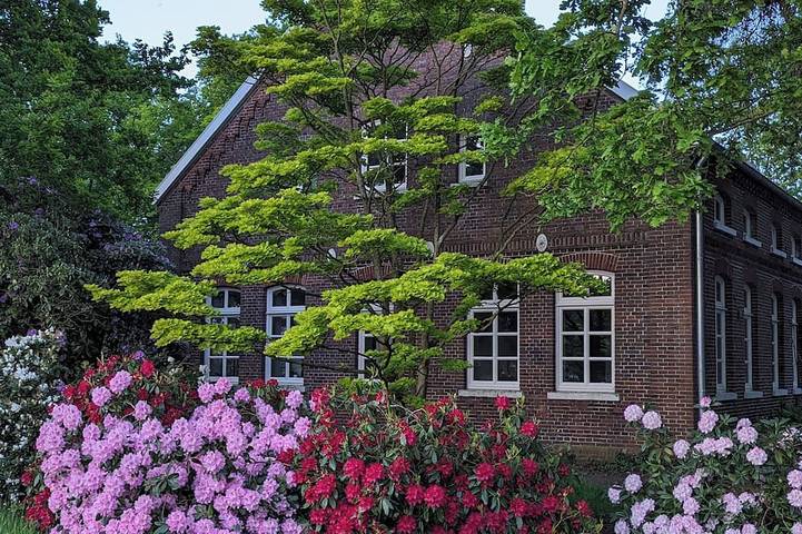 Ferienhaus für 6 Personen, mit Terrasse in Apen