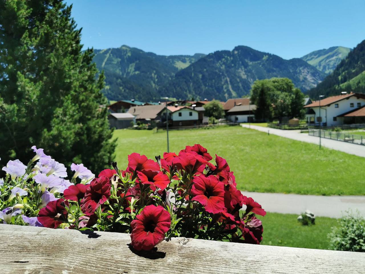 Ganze Ferienwohnung, Pension Tannheim - Familie Kleiner und Neumann - Doppelzimmer Gaißhorn ohne Balkon in Tannheim (Tirol), Allgäuer Alpen (Österreich)