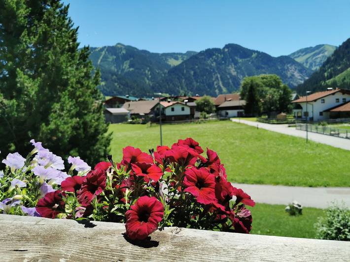 Ferienwohnung für 3 Personen, mit Balkon und Garten in Tannheimer Tal - 4